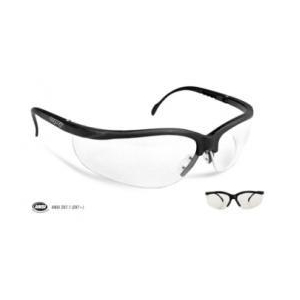 Imagen Anteojo Libus Argon Elite Patilla Regulable AF Antiempaño Transparente o Gris IRAM