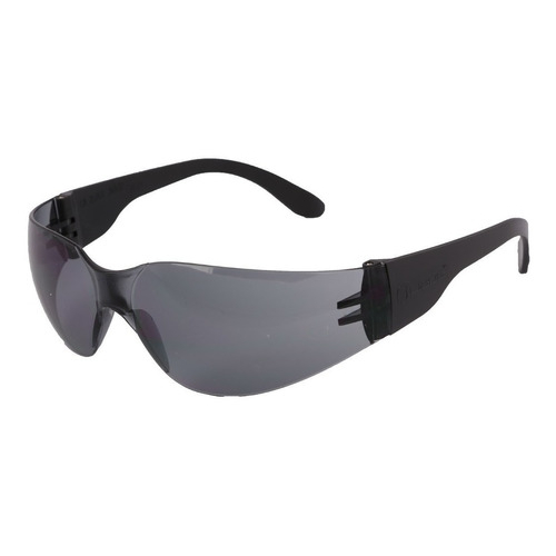 Imagen Anteojo Libus Ecoline Monolente Ergonómico HC Antiraya Transp Gris o Ambar IRAM